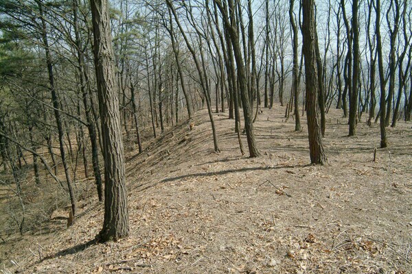 ▲ 수석리 토성