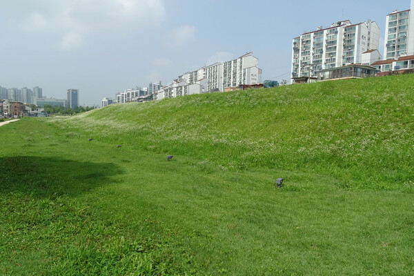 ▲ 풍납토성 남쪽성벽