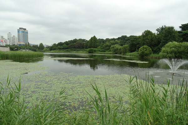 ▲몽촌 토성 해자