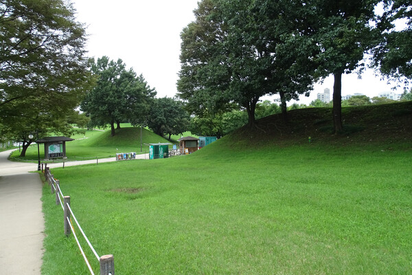 ▲ 몽촌 토성 북문지