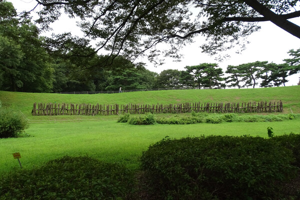 ▲ 몽촌 토성 목책