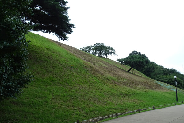 ▲ 몽촌 토성 서북지구 성벽