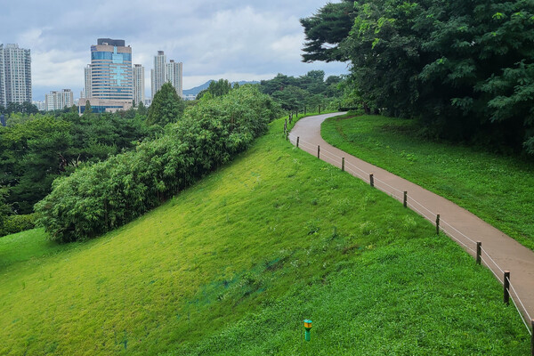 ▲ 몽촌 토성 서쪽 성벽