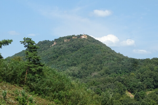 ▲ 은봉산에서 본 월롱산성