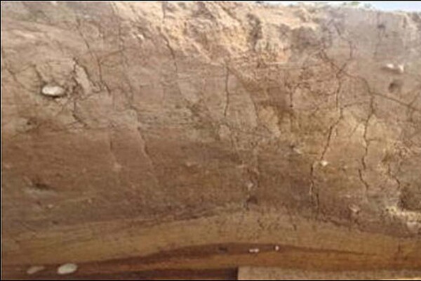 ▲육계토성 성토 중심구간 단층면