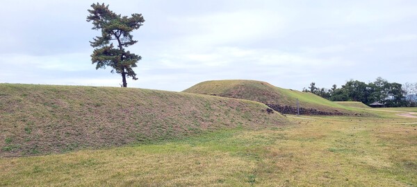 ▲은대리성 동벽과 성문지