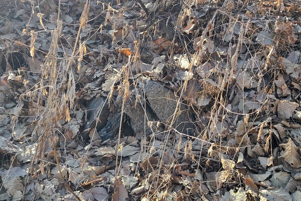 ▲서쪽의 일부 남은 성벽