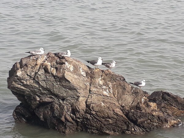 ▲시끄러운 도시를 떠나 여행을 가는 이유 중 조용한 곳을 찾는 목적도 있다. 필자