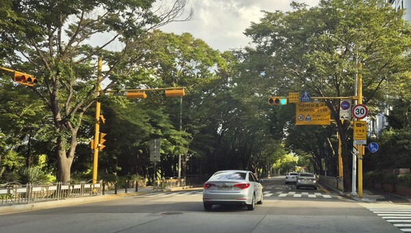 ▲제한 속도를 초과했다는 사실은 길 위에 멀뚱히 서 있는 키다리 신호등 아저씨도 모른척하지만 다 알고 있다. 속도 표지판을 그냥 지나칠 때는 아차 싶어서 세상 눈치는 혼자 다 본다. 필자 제공