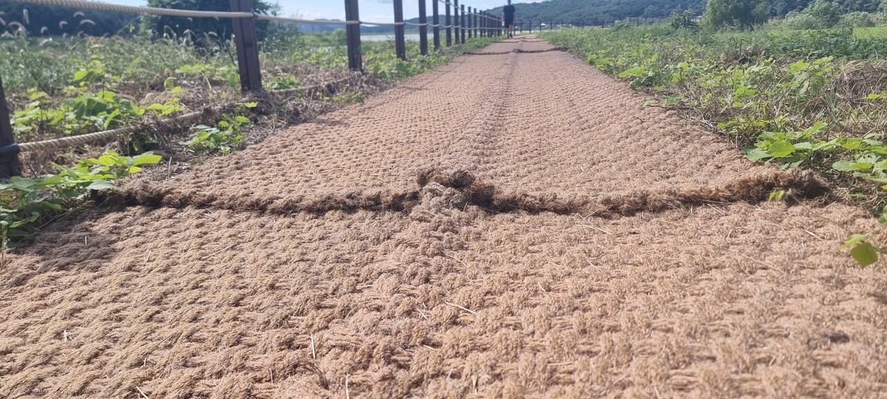 ▲보행자 안전을 위협하는 충남 서산시 풍전저수지 둘레길 울퉁불퉁 코코넛 매트. 백승일 기자 