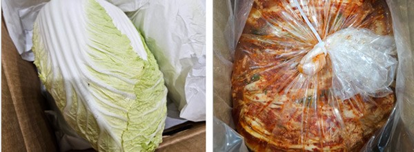 ▲관세청이 김장철을 맞아 오는 13일부터 12월 5일까지 3주간 수입 김치 등에 대한 원산지표시 위반행위를 집중 단속한다. 관세청 제공