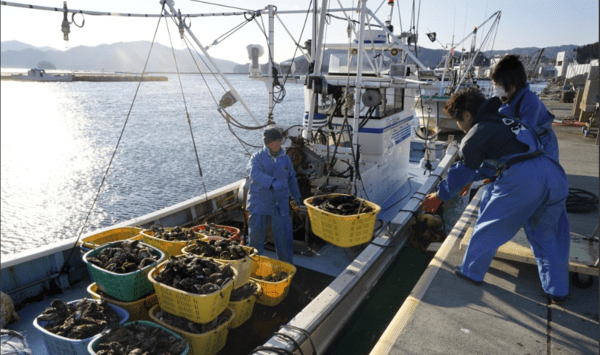 ▲ 일본 수산물. 연합뉴스