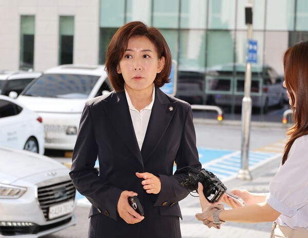 ▲국민의힘 나경원 의원. 연합뉴스