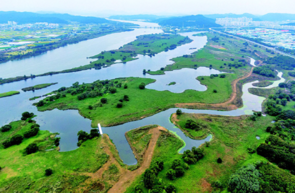 달성습지(사진) 일대에는 지난해 기준 129과 253종의 동물, 80과 326분류군의 식물 서식이 확인돼 생태·문화적 가치가 높다. [달서구청 제공]