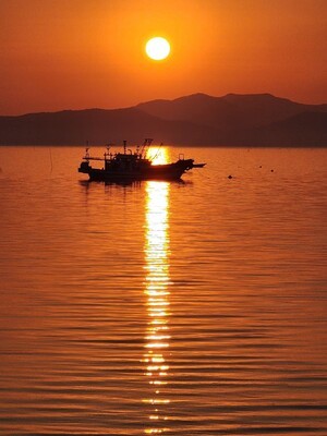 태양은 반기는데 나는 어디로...