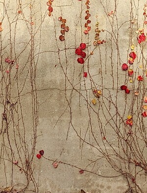 ‘긍정의 힘’으로 고난 속 희망의 불씨 찾다