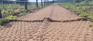 서산, '걸을 권리'를 포기하게 만드는 도시의 민낯
