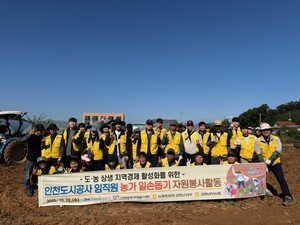 인천도시공사 임직원, 강화군 농가 고구마 수확 일손 돕기 봉사