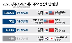경주 APEC 계기 주요 정상회담 일정