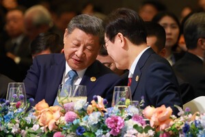 북한, 한중정상회담 '한반도 비핵화' 의제에 반발···"비핵화는 개꿈"