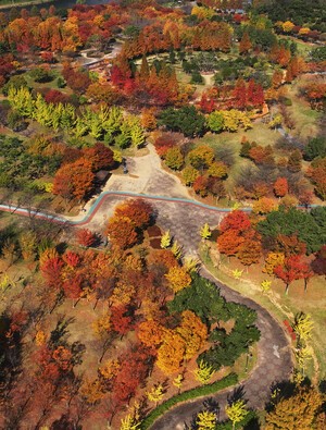 단풍으로 물든 호수 공원