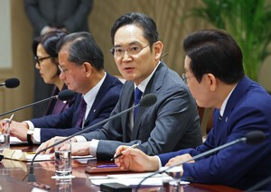 대통령이 재벌총수를  자주 만나면 지칫 정경유착 의혹이 불거질 수 있다.