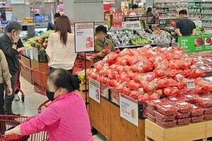 제철식재료부터 방한용품까지 특가에…롯데마트 '윈터 페스티벌'