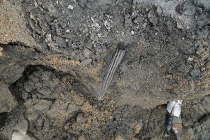 양주 대모산성서 1500년 전 '기록' 나왔다…"가장 오래된 목간"